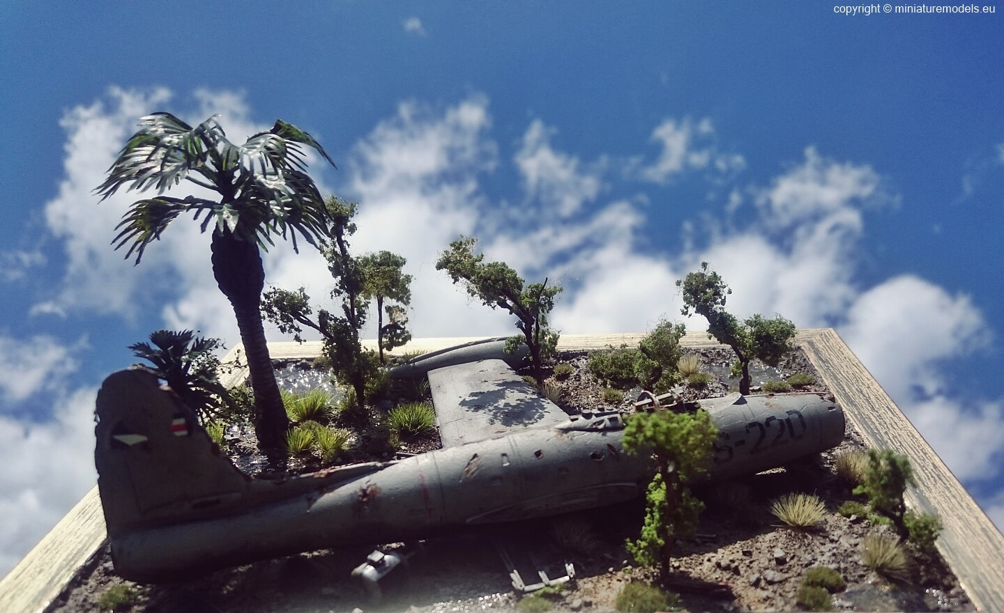 plane wreck in sunny Vietnam with sky and clouds in background
